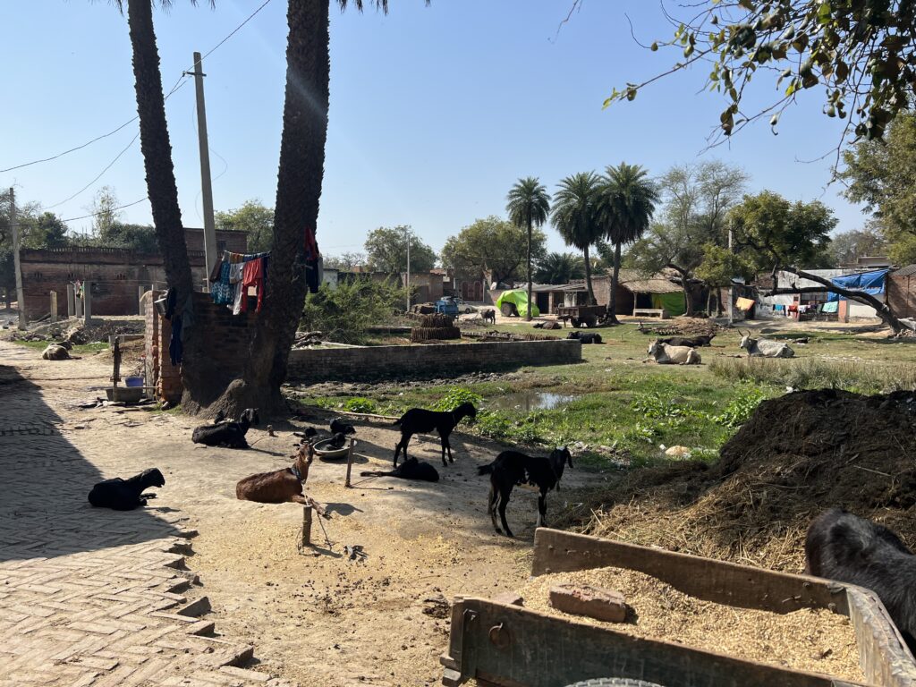 A Village Down Under